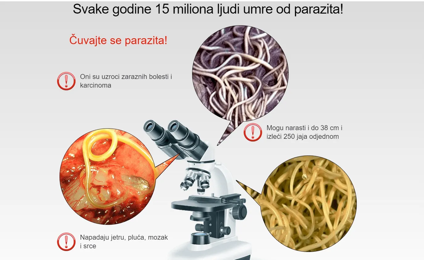 Detoxin kde objednat - diskuze - zkušenosti - recenze - Česko - kde koupit levné - co to je - cena - lékárna.